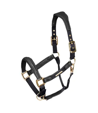 Velociti Lusso Padded Leather Black Headcollar