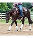 Weaver Gel Contoured Wool Blend Felt Saddle Pad