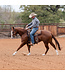 Professional's Choice Steam Pressed Comfort-Fit Felt Chocolate Saddle Pad