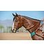 Weaver EcoLuxe Turquoise Bamboo Breast Collar