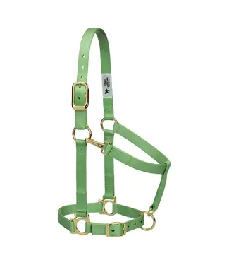 Weaver Basic Adjustable Pistachio Chin & Throat Snap Halter