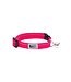 RC Pets Azalea Primary Kitty Breakaway Collar