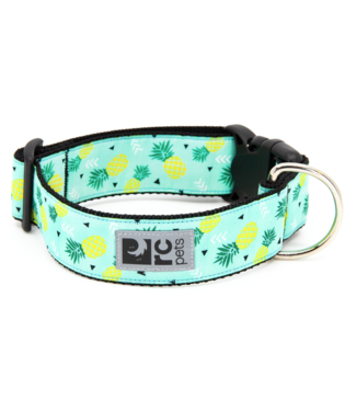RC Pets Collier Wide Clip Ananas