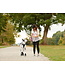 RC Pets Black Momentum Control Harness