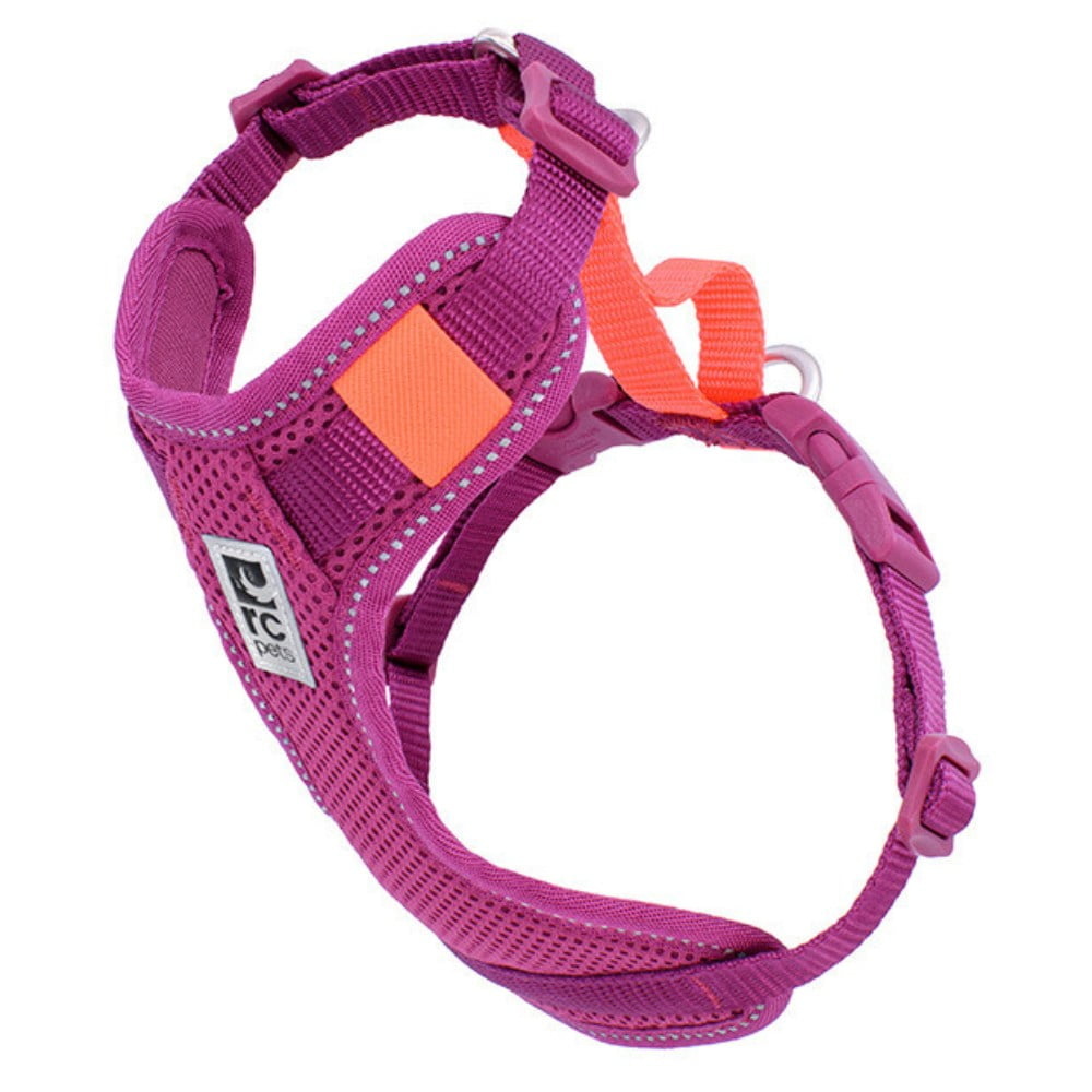 RC PETS Harnais pour Chien Moto Control Mulberry Paddock Animal