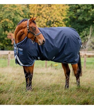 Horseware Amigo Bravo 12 Original NavyTurnout 250g (Medium)