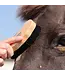 Shires Equestrian Brosse en Bois Ezi-Groom Premium pour le Visage