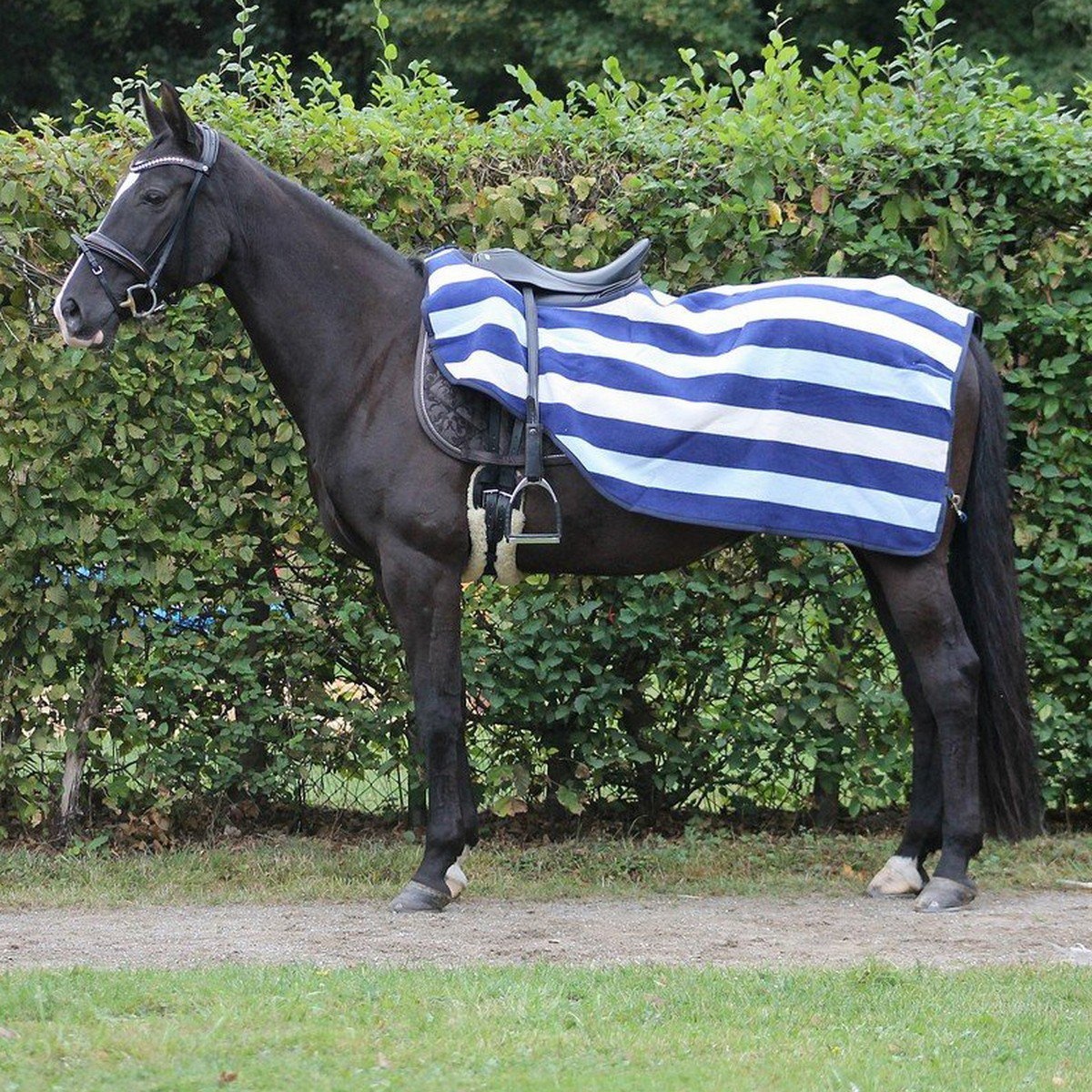 Housse De Couverture Cheval Horseware Rambo Optimo Light Fill Noire – Taille XL 150g, Capuche Incluse