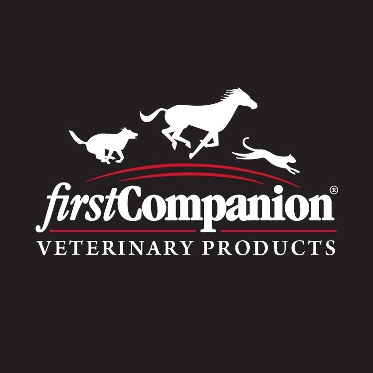 First Companion