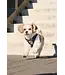 RC Pets Daisies Step In Cirque Dog Harness