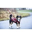 RC Pets Urban Woodsman Nylon Dog Leash
