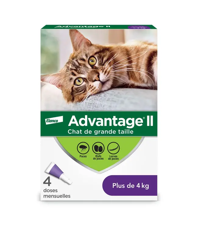 Advantage ii flea treatment for cats new arrivals