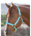 Weaver Original Adjustable Turquoise Chin & Throat Snap 1'' Halter