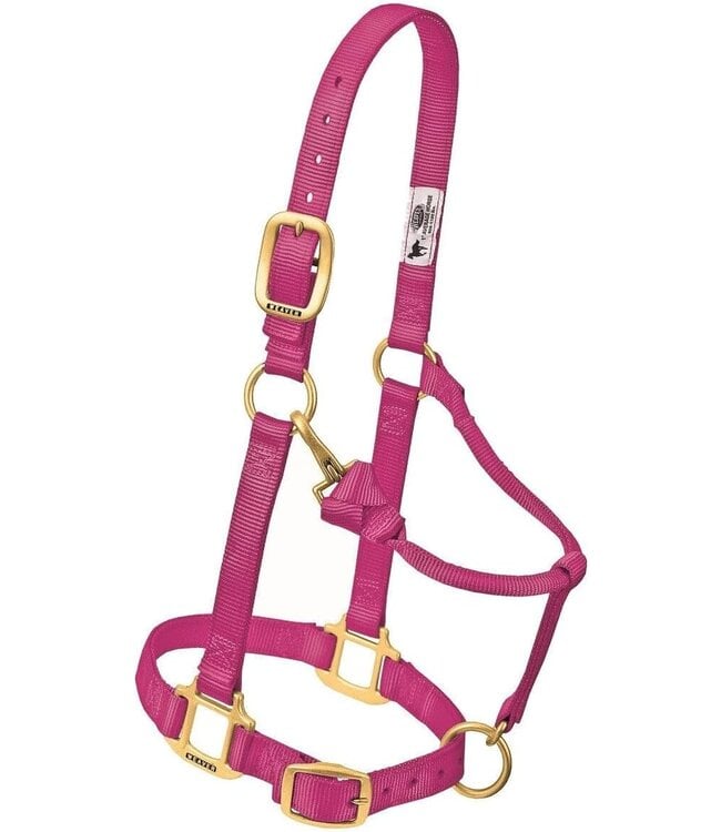 Weaver Original Adjustable Raspberry Chin & Throat Snap 1'' Halter