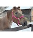 Weaver Original Adjustable Raspberry Chin & Throat Snap 1'' Halter