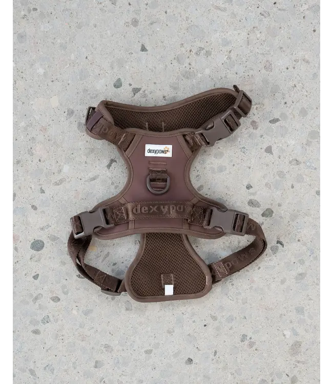 Dexypaws Espresso No-Pull Dog Harness