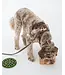 Dexypaws Espresso Waterproof Dog Collar