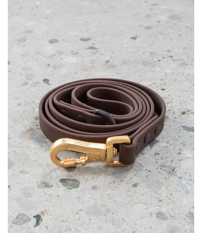 Dexypaws Espresso Waterproof Dog Leash