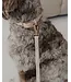 Dexypaws Nude Waterproof Dog Collar