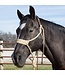 Classic Equine Wide Nose Flat Braid Halter & Leadrope