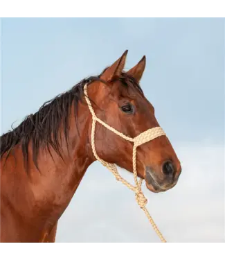 Classic Equine Licou Wide Nose Flat Braid