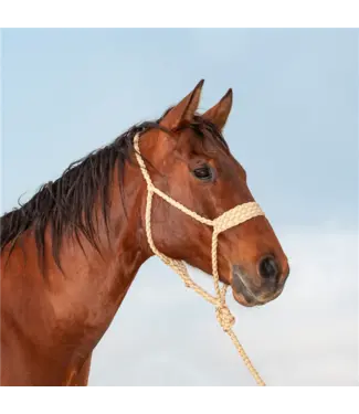 Classic Equine Wide Nose Flat Braid Halter & Leadrope