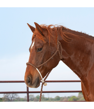 Classic Equine Rope Nose Halter & Leadrope