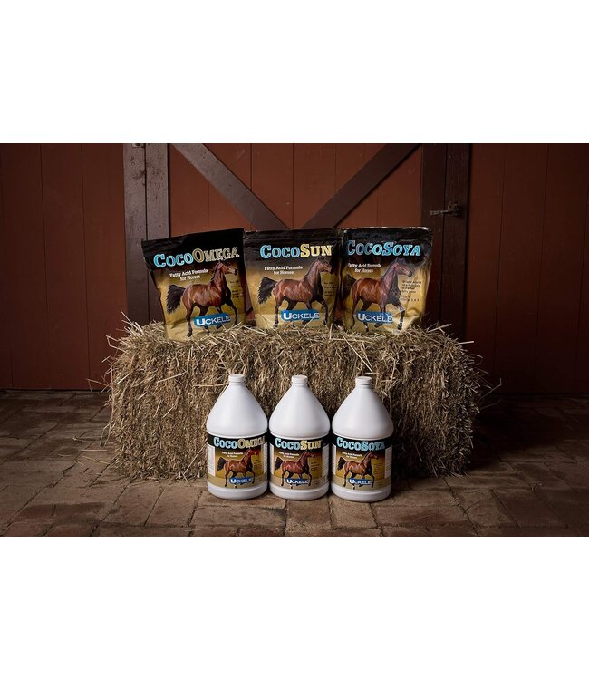 UCKELE CocoSoya Oil for Horses Paddock Animal & Co