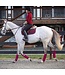 Ogilvy Equestrian Burgundy Jumper Baby Pad