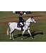 Ogilvy Equestrian Navy Jumper Baby Pad
