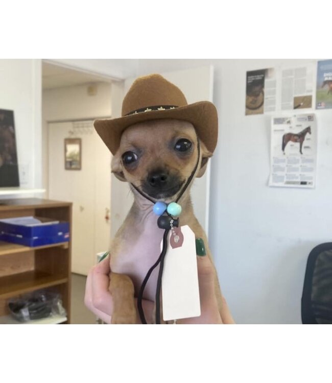 Modestone Chapeau Cowboy pour Chien