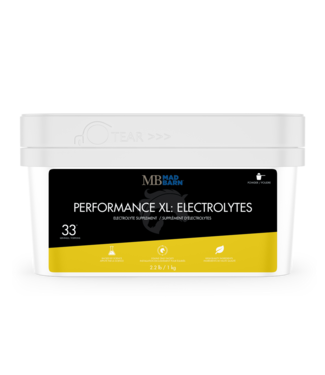 MadBarn Performance XL Électrolytes