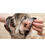 First Companion Ear Mite Lotion