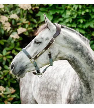 Horseware Blue Haze Signature Braided Headcollar