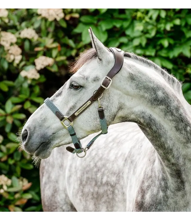 Horseware Blue Haze Signature Braided Headcollar