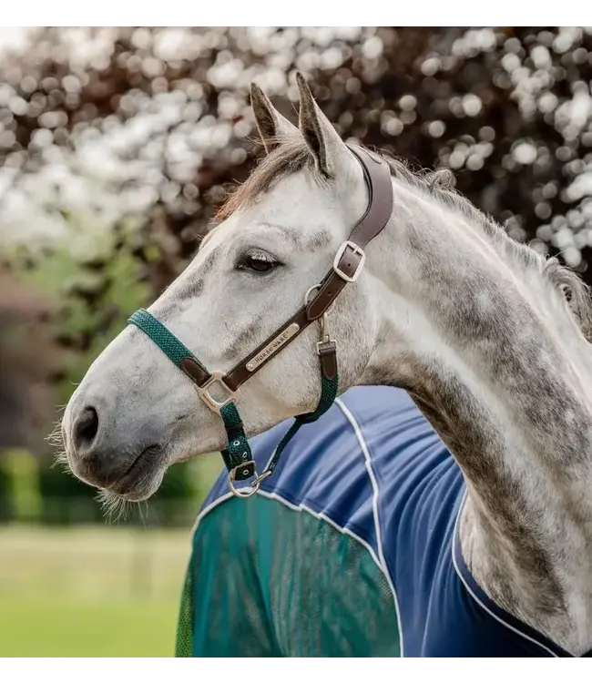 Horseware Hunter Green Signature Braided Headcollar