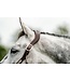 Horseware Hunter Green Signature Braided Headcollar