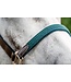 Horseware Hunter Green Signature Braided Headcollar