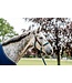 Horseware Hunter Green Signature Braided Headcollar