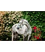 Horseware Blue Haze Signature Braided Headcollar