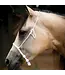 FRANÇOIS GAUTHIER Double Nylon Noseband