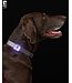 RC Pets Lumière Portative Nova LED