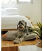 Bud'z Deluxe flat bed for dogs