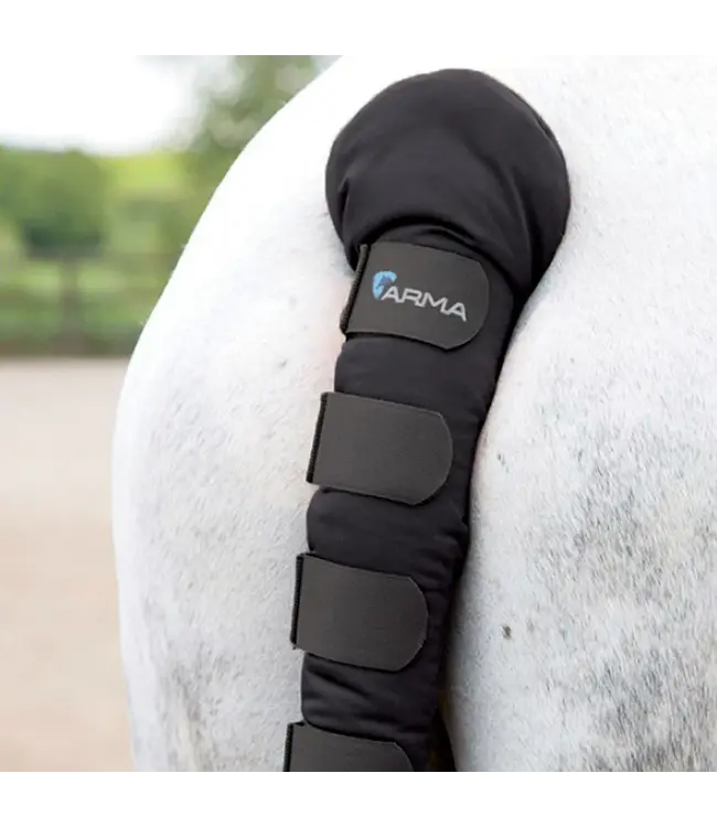 ARMA Padded Tail Guard