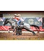 EcoGold Tapis Western High Performance Secure