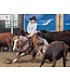 EcoGold Tapis Western High Performance Secure