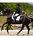 EcoGold White Secure Dressage Saddle Pad