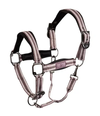 BR Equestrian Elderberry Eevolv Halter Elvis