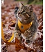 RC Pets Marigold Adventure Kitty Harness