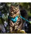 RC Pets Teal Adventure Kitty Harness